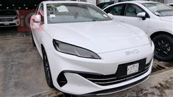 بي واي دي سيل 06 DM-i